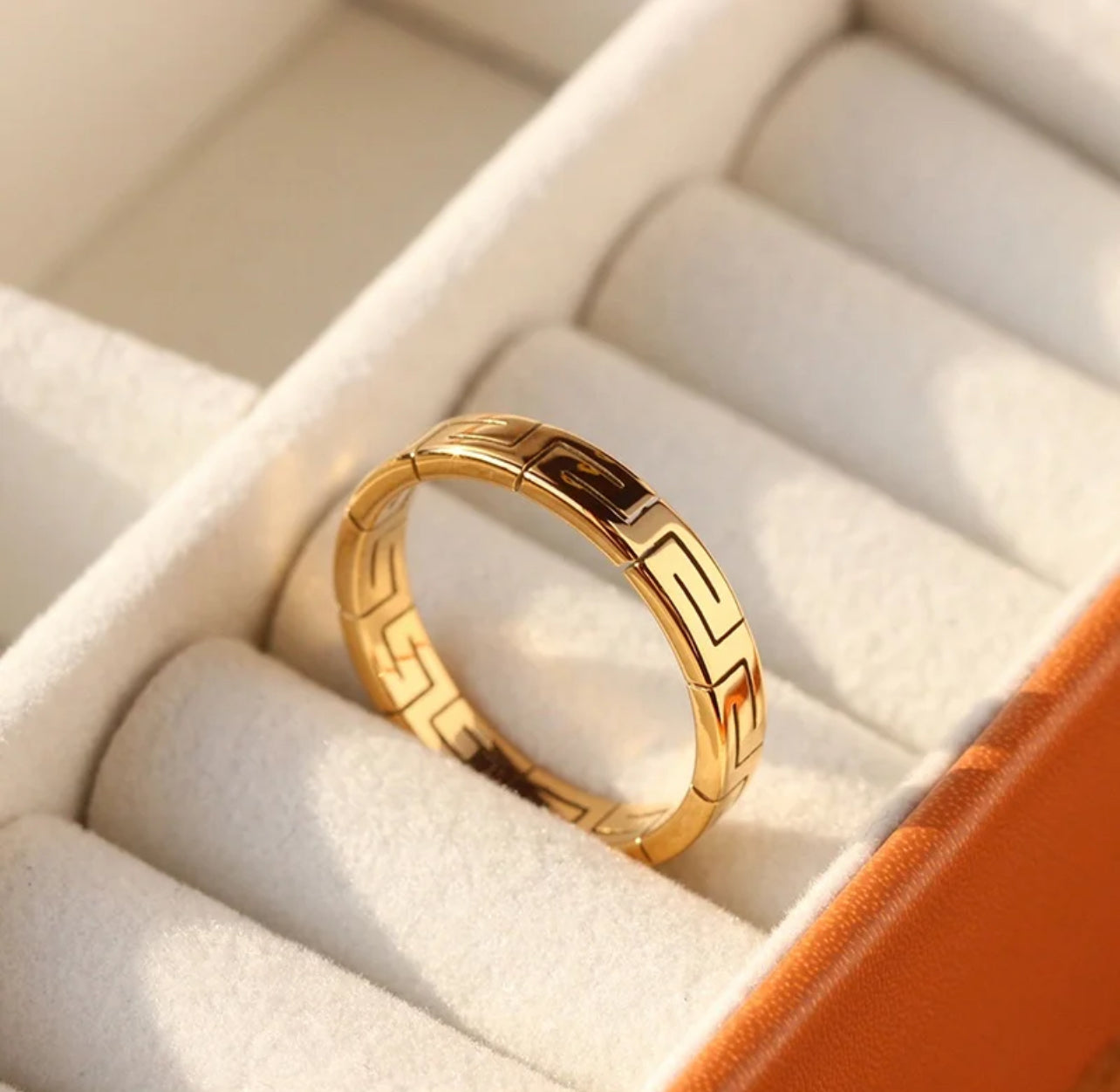 CLEO RING